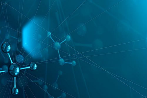 黑龙江生物技术研发公司31.42%股权转让公告