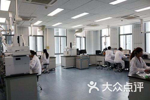 武汉市政科技信息研发中心生物科技培训课程 价格、简介与学习体验全解析